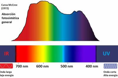 Espectro electromagnético visible