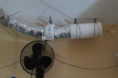 Extractor con filtro de carbono