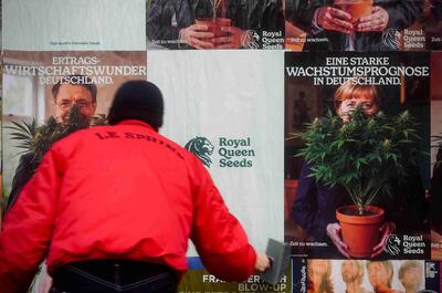 Commissionato da Royal Queen Seeds e condotto da Markteffect nelle ultime due settimane di febbraio 2025, lo studio ha coinvolto un campione rappresentativo di 1.719 persone in Germania.