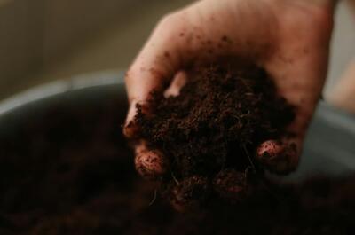 Close-up of a gardener's hand holding dark, moist potting soil above a planting container, highlighting the texture and structure of a growing medium used for plant propagation and cultivation.