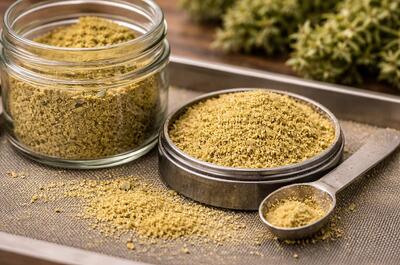 Collected cannabis kief displayed in a glass jar and metal grinder lid, highlighting dry sifted trichome crystals ready for hash making.