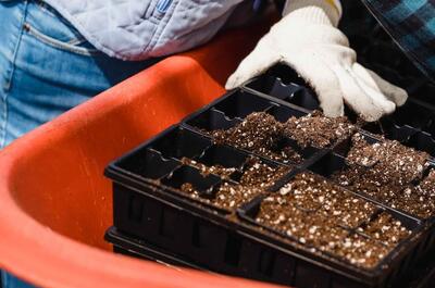 photo showing a grower wearing white glove while handling cannabis grow media filled with clean nutrient-rich soil.
