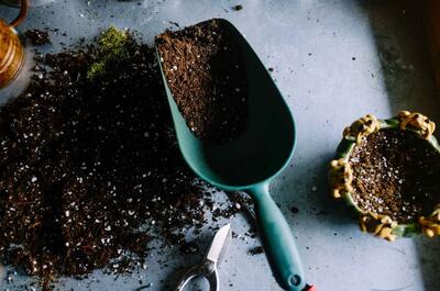 A photo of a small blue-colored garden shovel with fertilizer soil on it and other equipment used for home growing cannabis.