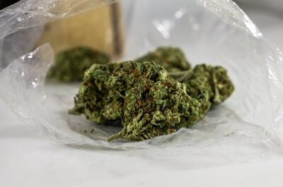 photo of prominent green cannabis buds unwrapped from a plastic bag.