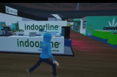 Indica