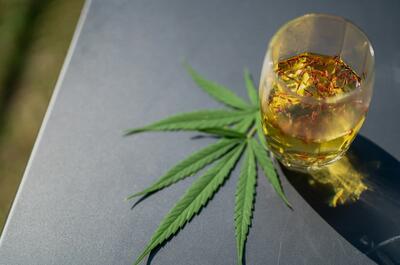 Glass of herbal cannabis tea with floating botanicals placed beside a fresh cannabis leaf in natural sunlight.