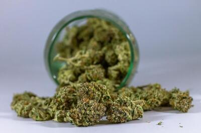 an open jar filled with with dried and cured cannabis buds that are coming out of the opening. 