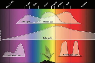 Luce vissibile all umano
