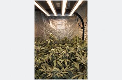Luminaria LED