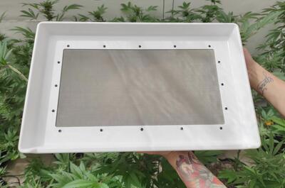 Bandeja para Kief ideal para manicurar recuperando todos los tricomas mientras manipulas tus flores.