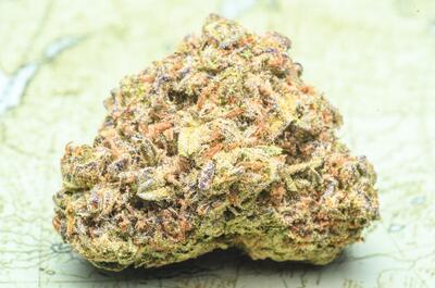 Variedad de marihuana de un coffeeshop en Holanda