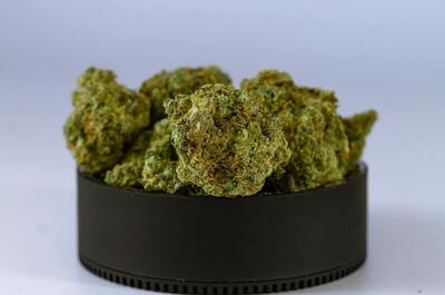 a small black container with personal stash of nice green cannabis buds against a white-blue background