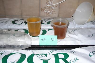 Sobrefertilización y plancha Coco Cannacogr