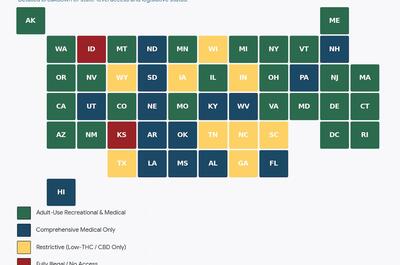 Map representing state-level cannabis legalization in the US, where green color is legal states, blue color is medical state, yellow is states with restricted CBD permission, and red where cannabis is completely illegal. 