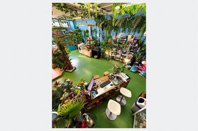 Interior y mostrador de la tienda de cultivo de marihuana Growshop Gramovatio en España