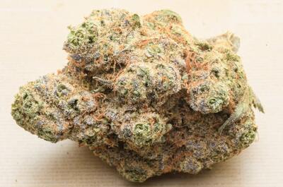 Marihuana hidroṕonica de un coffeshop en Holanda