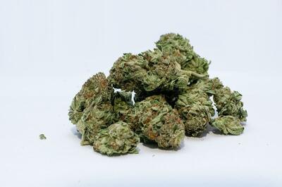 several green buds of cannabis that have been dried and cured, ready for consumption