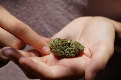 a person holding a bud of weed in their palm and trying to chunk out with the other hand. 