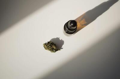 a green bud of CBD weed and a black oil container put on a white surface with shadows, seen from above. 
