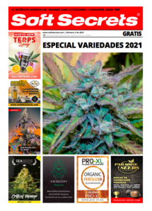 Soft Secrets Spanish 2102