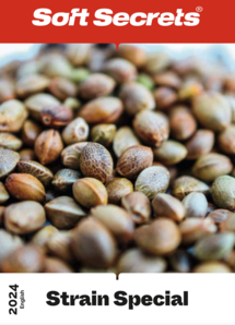 Strain Special 2024 - English