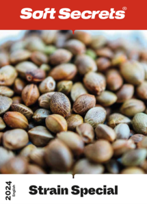 Strain Special 2024 - English