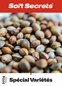 Strain Special 2024 - French