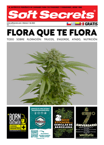 Soft Secrets LATAM 0122