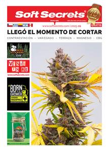 Soft Secrets LATAM 0125