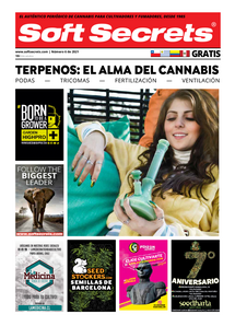 Soft Secrets LATAM 0621