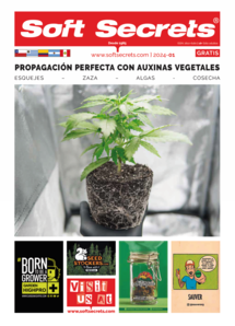 Soft Secrets LATAM 0124