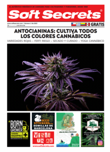 Soft Secrets LATAM 0223