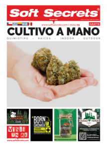 Soft Secrets LATAM 0524