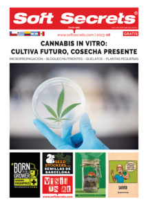 Soft Secrets LATAM 0623