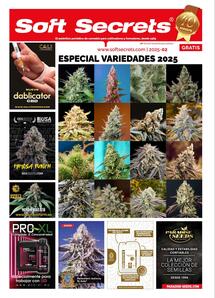 Soft Secrets Spain 25-02