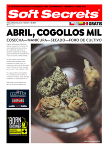 Soft Secrets LATAM 2102