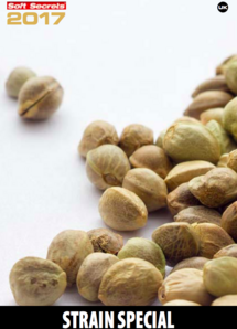 Strain Special #2017