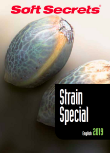 Strain Special #2019