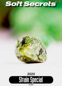 Strain Special #2020