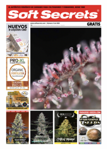 Soft Secrets Spanish 20-05