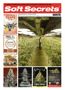 Soft Secrets Spanish 20-06