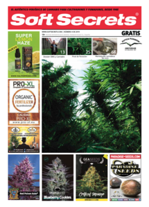 Soft Secrets Spanish 19-04