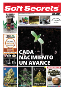 Soft Secrets Spanish 19-01