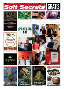 Soft Secrets Spanish 18-04