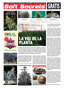 Soft Secrets Spanish 17-01