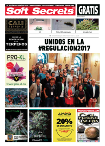 Soft Secrets Spanish 17-04