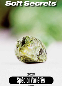 Strain Special FR #2020