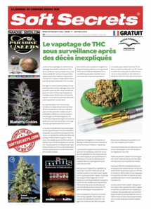 Soft Secrets French 19-06