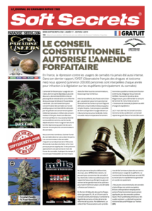 Soft Secrets French 19-03