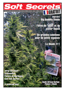 Soft Secrets French 08-01